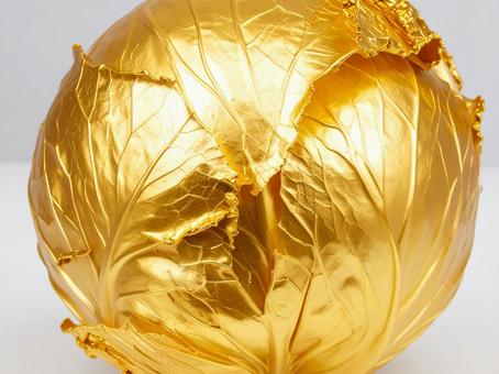 金のキャベツ 金のキャベツの写真