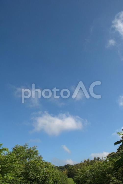 晴れた夏の日の背景素材 空,風景,晴れの写真素材