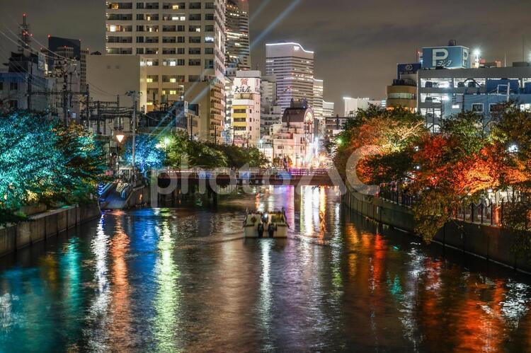 大岡川のライトアップと横浜の街並み 大岡川,川,横浜の写真素材