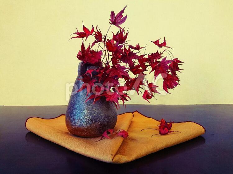和室の床の間の紅葉の花瓶 もみじ,オーナメント（アート）,カードの写真素材