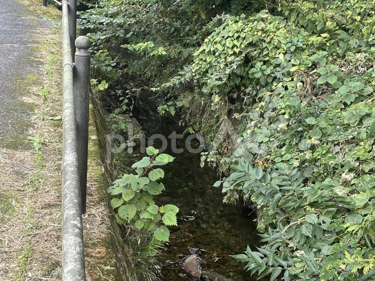 名瀬町小川アメニティ 名瀬町小川アメニティ,遊歩道,せせらぎの写真素材