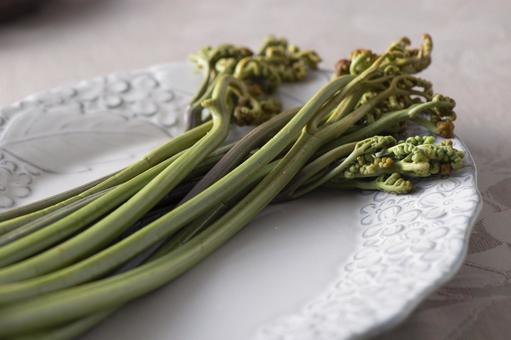 Boiled bracken, JPG Boiled bracken, warabi, fern, boiled, JPG