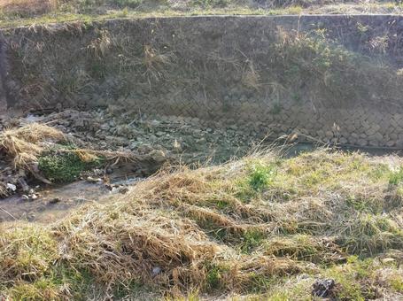 河川の護岸と草むら 河川の護岸と草むらの写真