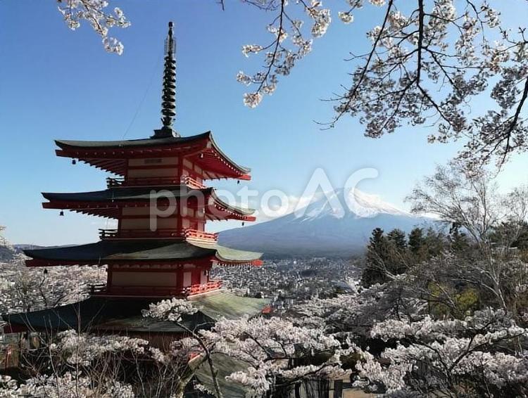 夕暮れの富士山と五重塔と桜 富士山,五重塔,桜の写真素材
