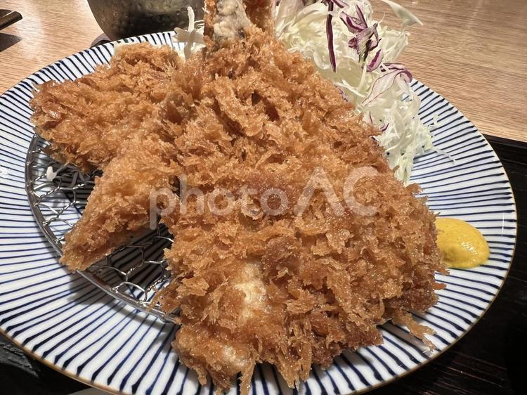 美味しそうなミックスフライの盛り合わせ ミックスフライ,アジフライ,ヒレカツの写真素材