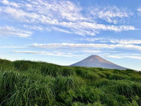 草原越しに見る大空と富士山 草原越しに見る大空と富士山の写真