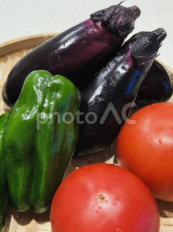 夏野菜（ナス・ピーマン・トマト）１７ 夏野菜,ナス,ピーマンの写真素材