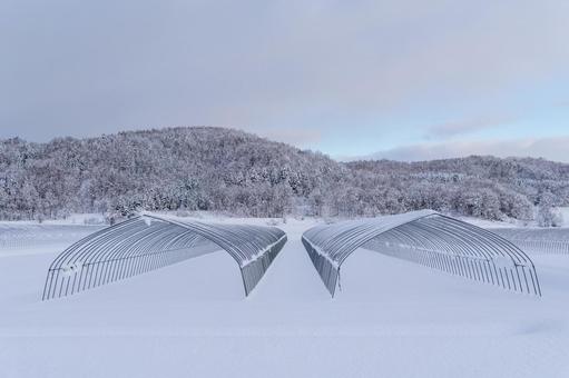 雪原に佇むビニールハウスの骨組みと農村 ビニールハウス,骨組み,白銀の世界の写真素材