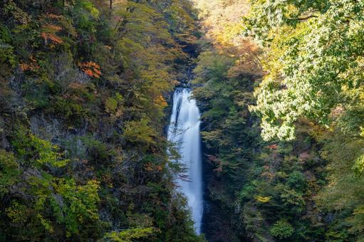 秋の秋保大滝⑹ 秋の秋保大滝⑹ 滝,秋保大滝,名瀑の写真素材