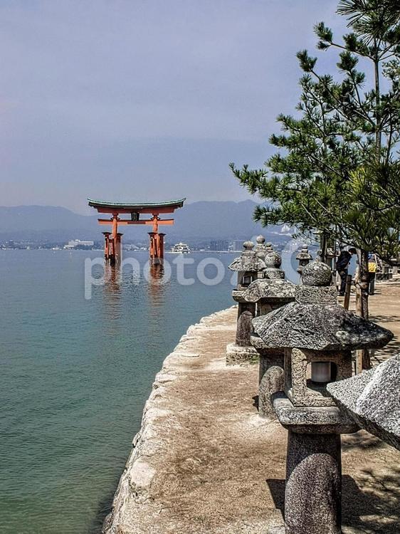 厳島神社の風景　No9 厳島神社,宮島,世界遺産の写真素材
