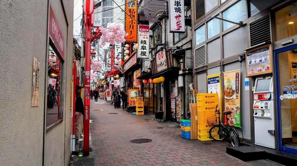 新宿駅西口・思い出横丁（東京都・新宿区） 新宿駅,西口,思い出横丁の写真素材