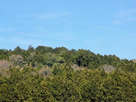 美しい青い空と山並み 美しい青い空と山並み 森,木々,遠景の写真素材