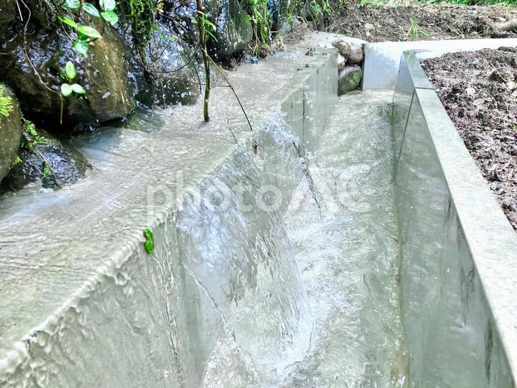 用水路に流れていく山の湧き水 用水路,用水,水の写真素材