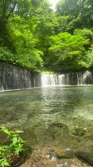 白糸の滝 白糸の滝の写真