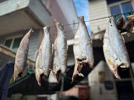 屋外で吊るされた干物の魚が並ぶ漁村の風景 屋外で吊るされた干物の魚が並ぶ漁村の風景 干物,魚,海の幸の写真素材