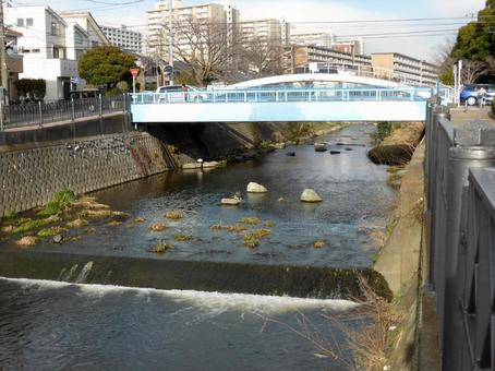 春の横浜市栄区、いたち川の海里橋を見る 春の横浜市栄区、いたち川の海里橋を見る 川,河川,流れの写真素材