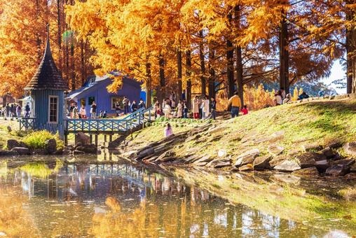 あけぼの子どもの森公園　秋の風景 紅葉,秋,公園の写真素材