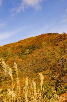 秋の紅葉に染まる山 紅葉,秋,風景の写真素材