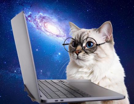 宇宙で仕事をする猫 宇宙で仕事をする猫の写真