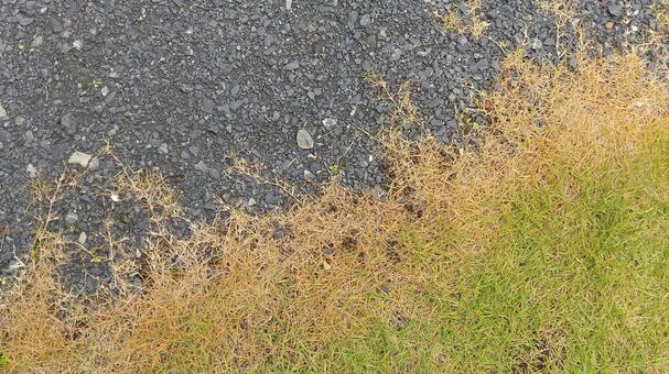 勢い広がる芝生の炎 芝生,炎,勢いの写真素材