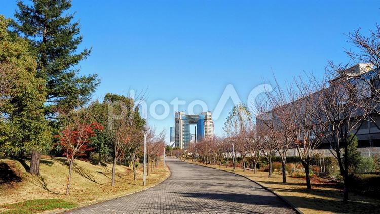 東京お台場・東京テレポート駅付近の散歩道 冬,お台場,遊歩道の写真素材