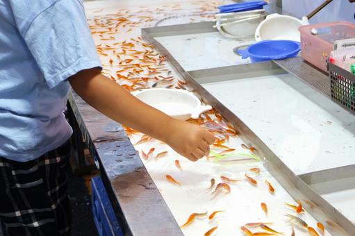 金魚すくいの子供(お祭り・屋台・夏休み) 金魚すくいの子供(お祭り・屋台・夏休み) 金魚すくい,祭り,屋台の写真素材