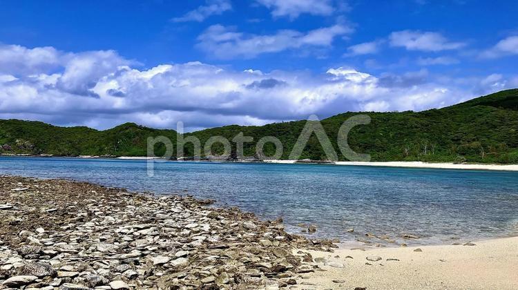 沖縄県慶良間諸島の阿嘉島のアグの浜 アグ,あぐ,サクバルの写真素材