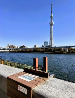 隅田川を隔てたスカイツリー 隅田川を隔てたスカイツリー 川,隅田川,柵の写真素材