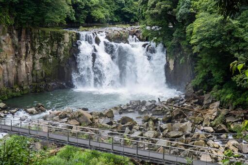 関之尾滝 関之尾滝,関之尾の滝,吊り橋の写真素材