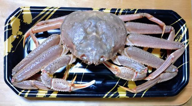 スーパーの生ずわいがに ズワイ,蟹,生の写真素材