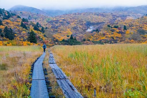 朝霧に霞む名残ヶ原湿原と紅葉の栗駒山 朝霧に霞む名残ヶ原湿原と紅葉の栗駒山 秋,紅葉,黄葉の写真素材