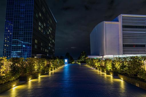 都市夜景 都市夜景 都市夜景,夜景,夜の写真素材