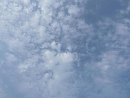 うろこ雲 龍のお腹 うろこ雲 龍のお腹の写真