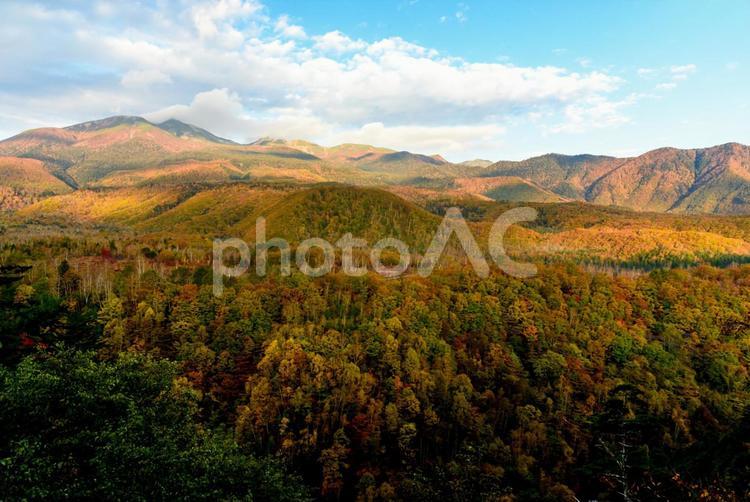 山と森林を望む秋の風景 山,森,高原の写真素材