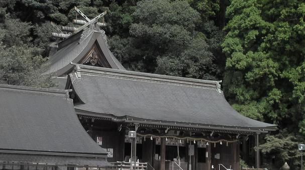 島根県-物部神社-本殿と拝殿 島根県-物部神社-本殿と拝殿 物部神社,神社,石見国の写真素材