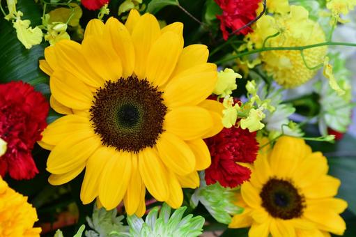 ヒマワリなどの花 ヒマワリ,フラワー,きれいの写真素材