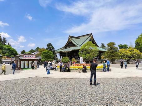 成田山新勝寺 釈迦堂 成田山新勝寺 釈迦堂 成田山,新勝寺,釈迦堂の写真素材