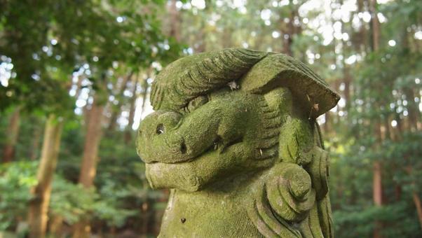 森の苔むした狛犬の頭部 狛犬,石像,苔の写真素材