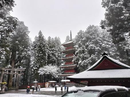 冬の日光東照宮 冬の日光東照宮 日光東照宮,五重塔,雪の写真素材
