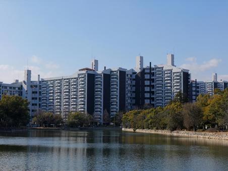 団地 団地の写真