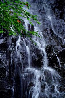自然の織り成す水流 自然の織り成す水流の写真
