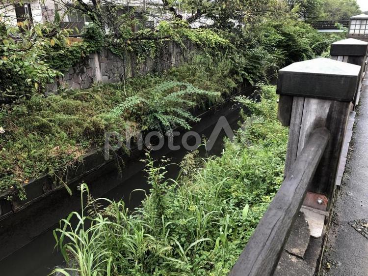 雨上がりの川　手すり 川,雨,雨上がりの写真素材