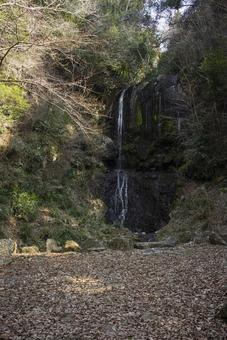 静岡県三島市にある観音の滝 静岡県三島市にある観音の滝 観音の滝,三島,静岡の写真素材