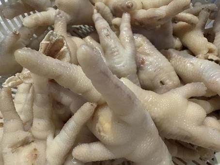 鶏の足 鶏の足の写真