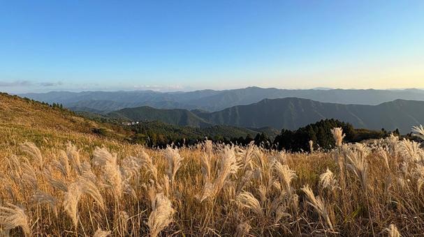 金色のススキと高原から見下ろす景色 すすき,ススキ,金色の写真素材