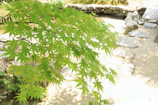 穏やかな休日の写真