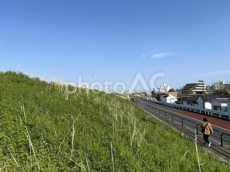 土手　道　風景 土手,風景,草の写真素材