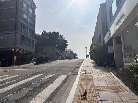 韓国 坂道 韓国 坂道の写真