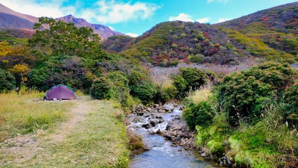 秋の山でテントを立てている写真 植物,ススキ,綿毛の写真素材