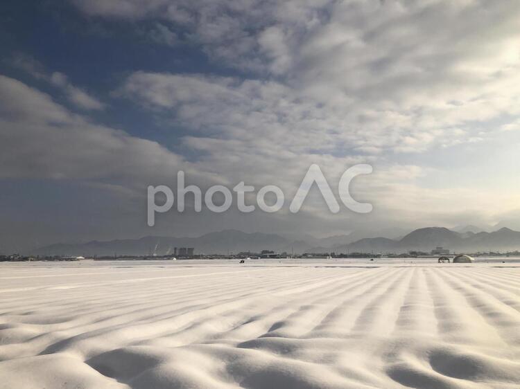 山形　２０２１年１月　雪　冬　空　晴れ 山形,２０２１年１月,雪の写真素材